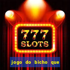 jogo do bicho que paga no pix